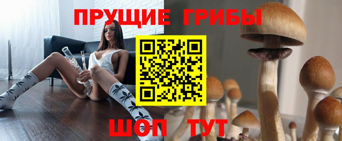 Псилоцибиновые грибы Cubensis  Вход с VPN  купить наркоту  Углич 